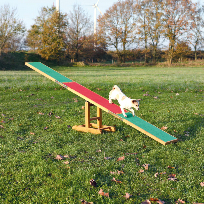 Balansoar Pentru Caini, Fun Agility, 300x54x34 cm, Pana la 80 kg, 3213 [2]
