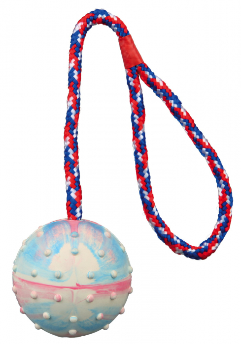 Jucarie Pentru Caini, Minge Cauciuc Pe Sfoara, 6/30 cm, 3454 [2]