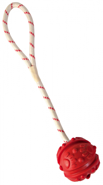 Jucarie Pentru Caini, Minge Pe Sfoara, Plutitoare, 4.5 cm/35 cm, 33481 [2]