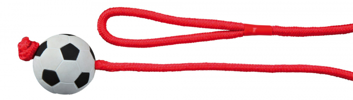 Jucarie Pentru Caini, Minge Fotbal Pe Sfoara, Plutitoare, 6 cm/1.00 m, 3307 [2]