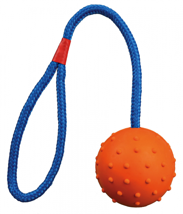 Jucarie Pentru Caini, Minge Cauciuc Pe Sfoara, 7/30 cm, 3305 [2]