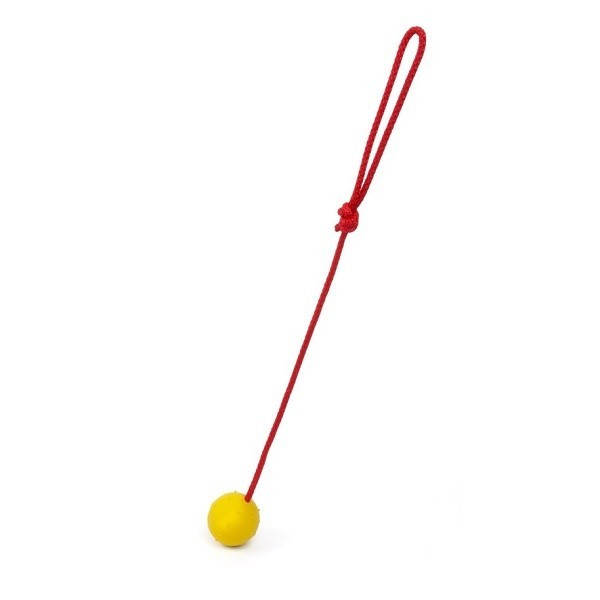 Jucarie minge plina cu sfoara Ã¸ 5 cm [1]