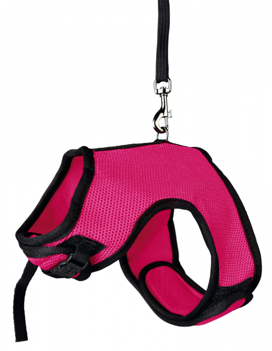 Ham Si Lesa Pentru Iepuri, Soft, 25-40 cm/1.20 m, Diferite Culori, 61514 [2]