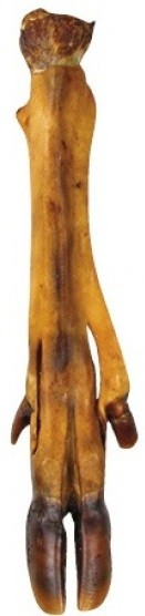 Picior cerb natural 330 g - 42/46 cm [1]