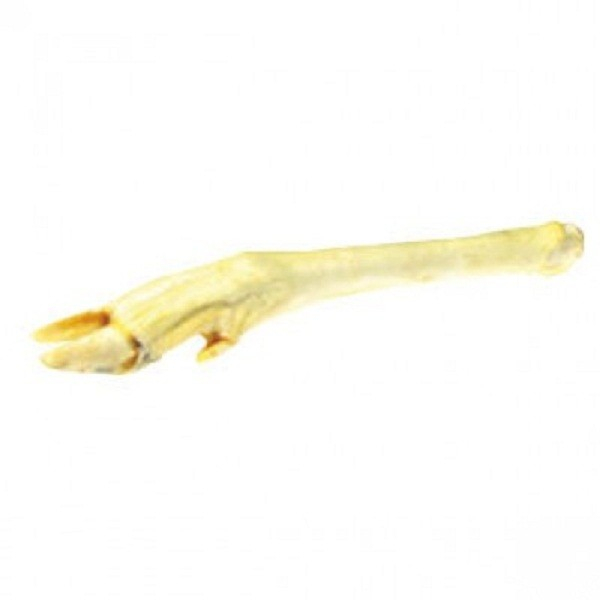 Picior cerb natural alb 60/95 g - 24/30 cm [1]