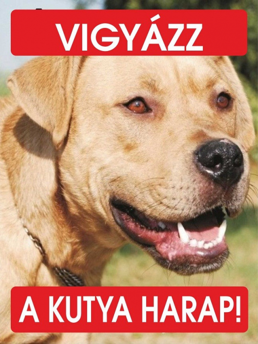 Placuta Labrador Bilingva [1]