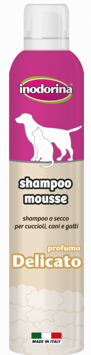 Sampon spuma spalare uscata Delicato Inodorina 300 ml [1]