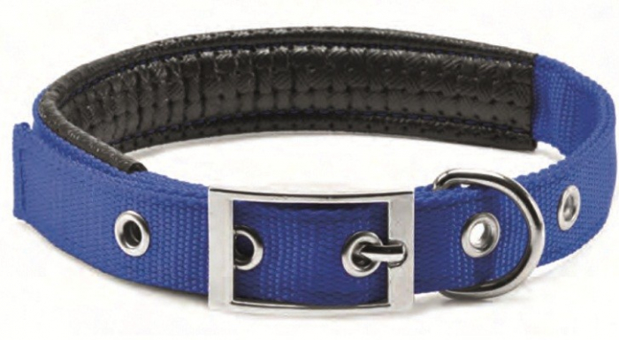 Zgarda chinga captusita albastru 20/45 cm [1]