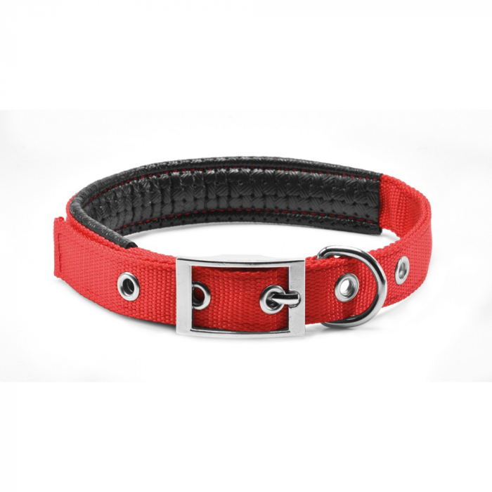 Zgarda chinga captusita rosu 20/45 cm/SH23 [1]