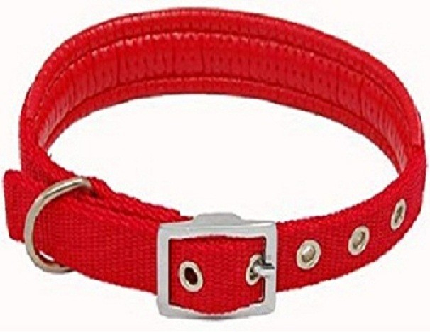 Zgarda chinga captusita rosu 25/55 cm/SH24 [1]
