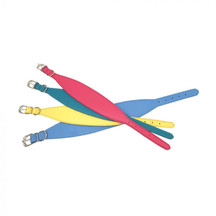 Zgarda color pt ogar 5/38 cm [1]