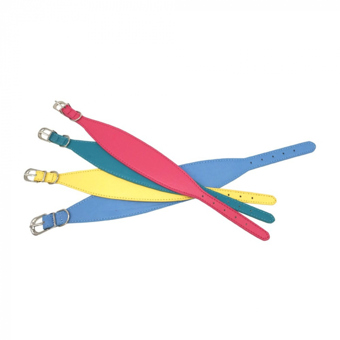 Zgarda color pt ogar 6/48 cm [1]