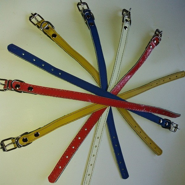 Zgarda piele 1,5 cm/35 cm nr 1 mix color [1]