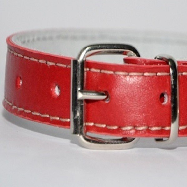 Zgarda piele 2,3 cm/50 cm nr 3 rosu [1]