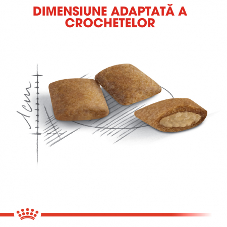 Royal Canin Ageing 12+ [1]