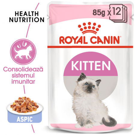 Produse pentru Pisici - Royal Canin Kitten Jelly 12x85g