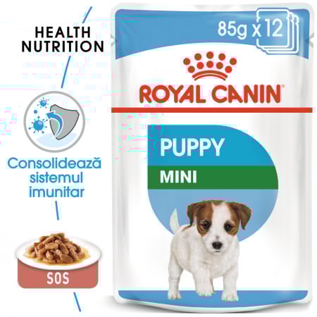 Hrana Umeda pentru Caini - Royal Canin Mini Puppy 12x85g