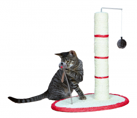 Accesorii pentru Pisici - Stalp Sisal De Zgariat, Cu Jucarii, 40x30 cm/ h: 50 cm, Diverse Culori, 4306