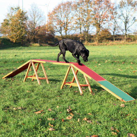Barna Pentru Caini, Fun Agility, 456x64x30 cm, Pana la 80 kg, 32090 [1]
