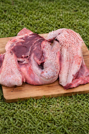 Buză de vită congelată pentru câini [1]