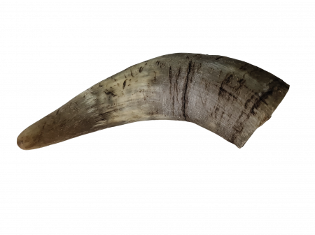 Recompense si Suplimente pentru Caini - corn-vita-natural-caini.jpg