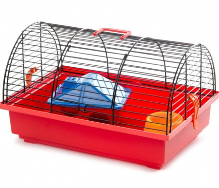 Custi si Accesorii - Cusca rozatoare echipata 36/24/22 cm