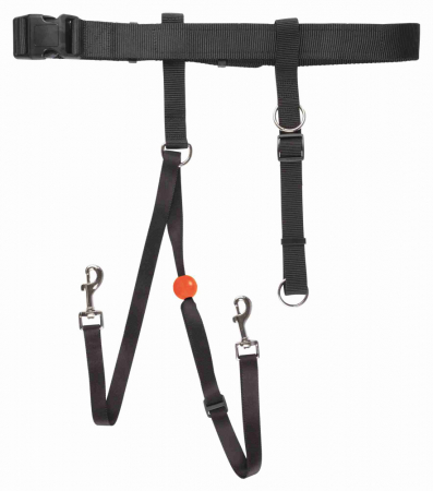 Produse pentru Caini - Flash Active Centura 85-110 cm Talie Lesa 1.3 cm 12760