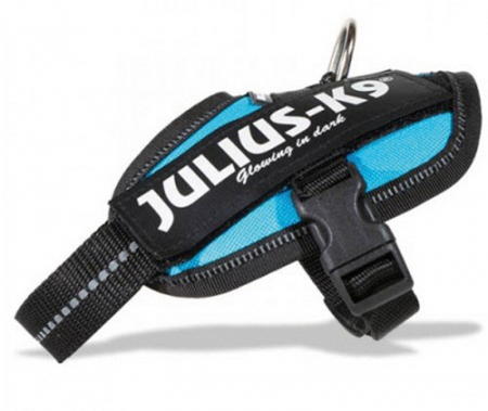 Hamuri pentru Caini - Ham K9 Power Baby 0,8/3 kg - 29/36 cm albastru