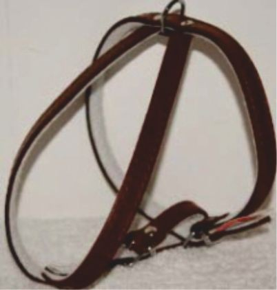 Hamuri pentru Caini - Ham piele reglabil 33 - 43 cm Nr 0 maro