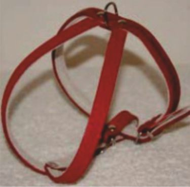 Hamuri pentru Caini - Ham piele reglabil 57 - 67 cm Nr 2 rosu