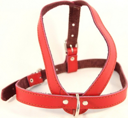 Hamuri pentru Caini - Ham piele reglabil 70 - 80 cm Nr 3 rosu