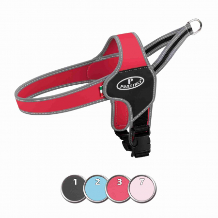 Hamuri pentru Caini - Ham Pratiko Norwegian, Apollo, XXS- XS: 28-33 cm, 105103