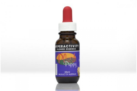 PLUSH PUPPY - Hyperactivity Flower Essence Drops 25ml