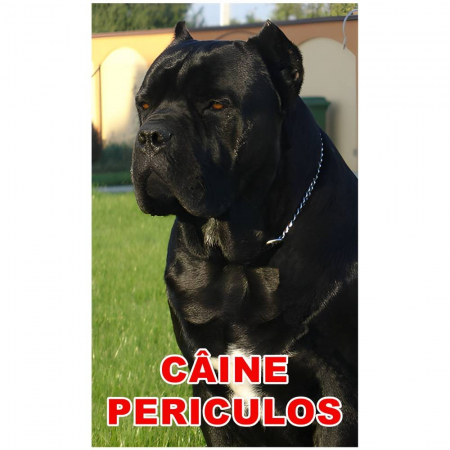 Accesorii Acasa si Mobilier - Indicator caine periculos Cane Corso