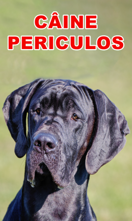 Accesorii Acasa si Mobilier - Indicator caine periculos Dog German
