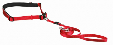 Produse pentru Caini - Lesa Jogging pentru Caini S si M, Talie: 60-130 cm, Lesa: 1.2 m/15 mm, 12765