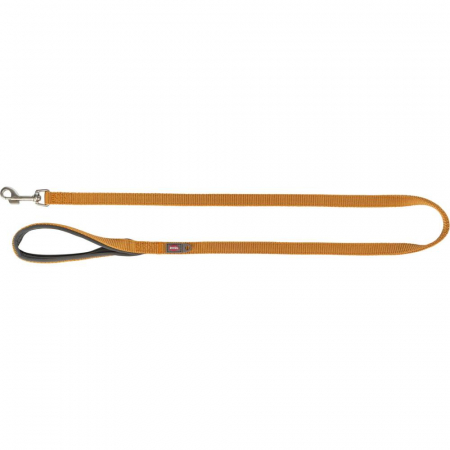 Lese pentru Caini - Lesa Premium, L-XL: 1.00 m/25 mm, Galben Curry, 200329