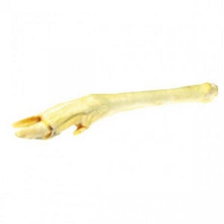 Recompense si Suplimente pentru Caini - Picior cerb natural alb 60/95 g - 24/30 cm