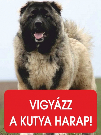 Accesorii Acasa si Mobilier - Placuta Caucazian Bilingva 28