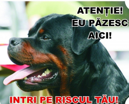 Accesorii Acasa si Mobilier - Placuta de avertizare 1