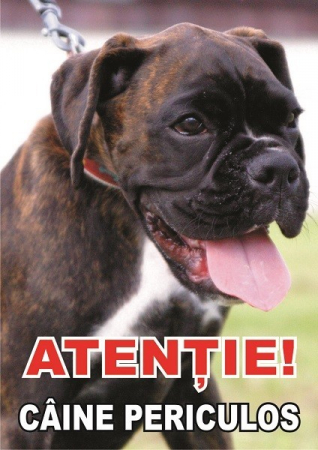 Accesorii Acasa si Mobilier - Placuta caine rau Boxer.