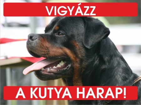 Accesorii Acasa si Mobilier - Placuta Rottweiler Bilingva