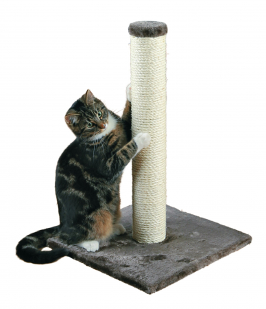 Produse pentru Pisici - Sisal Plat cu Stalp Gri 40x40x62 cm 43332