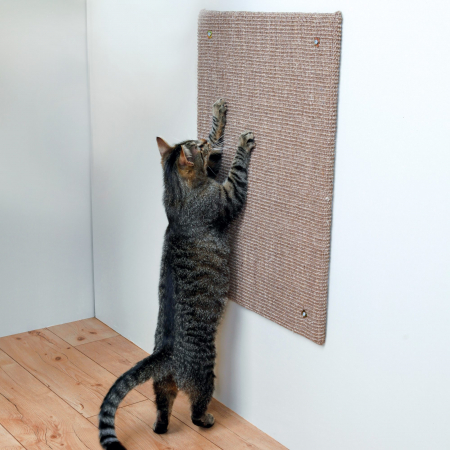 Accesorii pentru Pisici - Placa De Zgariat XXL Pentru Montare Pe Perete, 50x70 cm, Taupe, 43166