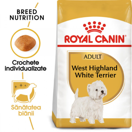 West Highland White Terrier Adult [0]