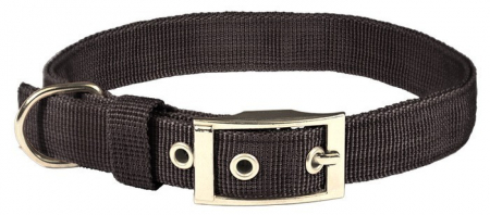 Produse pentru Caini - Zgarda chinga dublata 25/55 cm neagra