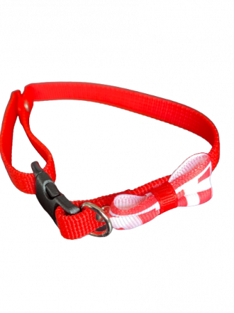 Produse pentru Caini - Zgarda Chinga Reglabila, 10 mm x 37 cm, cu Fundita, cu Carouri, Rosu