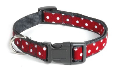 Produse pentru Caini - Zgarda fancy & buline 10 mm/20-31 cm red