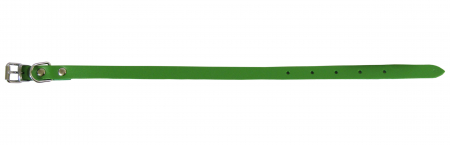 Zgarzi pentru Caini - Zgarda L0 1.2/37 cm - Simplu - Verde