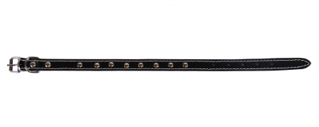 Zgarzi pentru Caini - Zgarda L1 1.6/40 cm - Ornament Negru